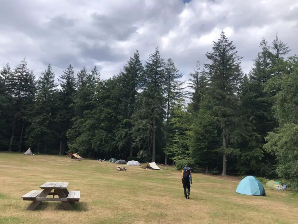 Het tentveld van Camping Zegenoord, tijdens onze tweedaagse wandeltocht op de Veluwe.