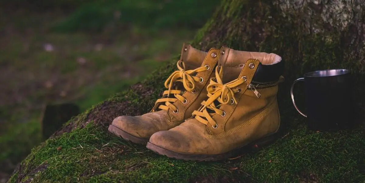 Twee wandelschoenen en een mok naast een boom, op een stukje mos.