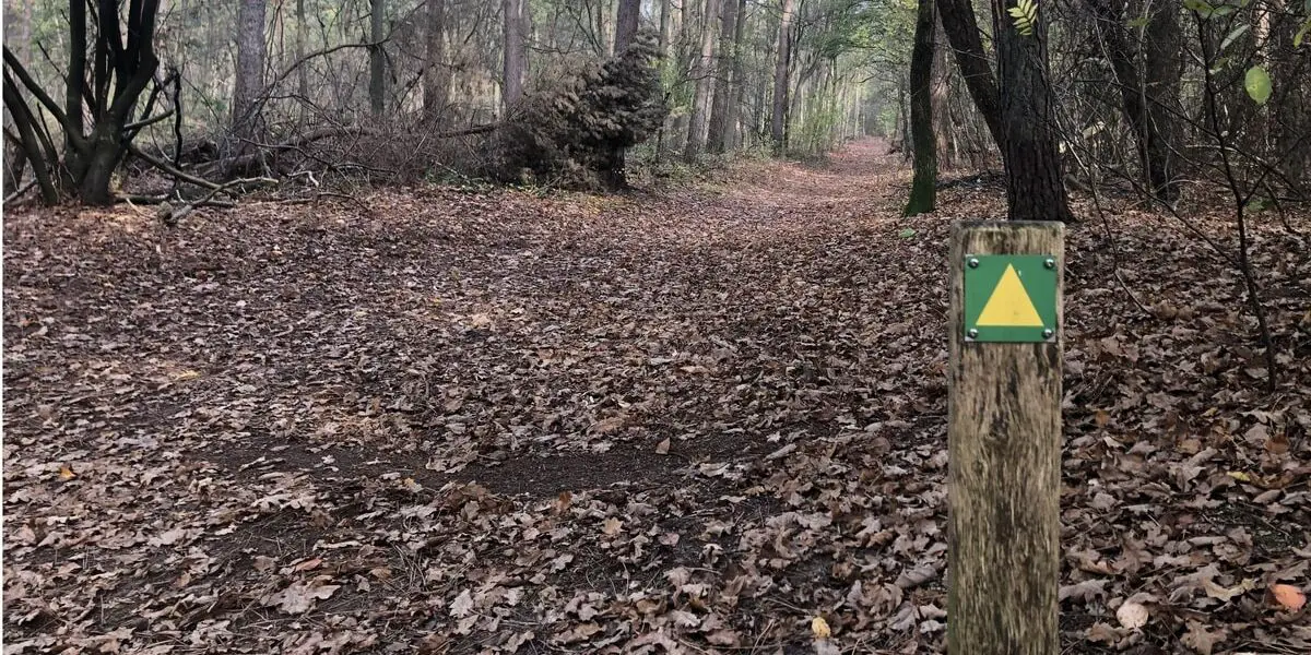 Foto van een bospad met een paaltje gebruikt voor wandelknooppunten.