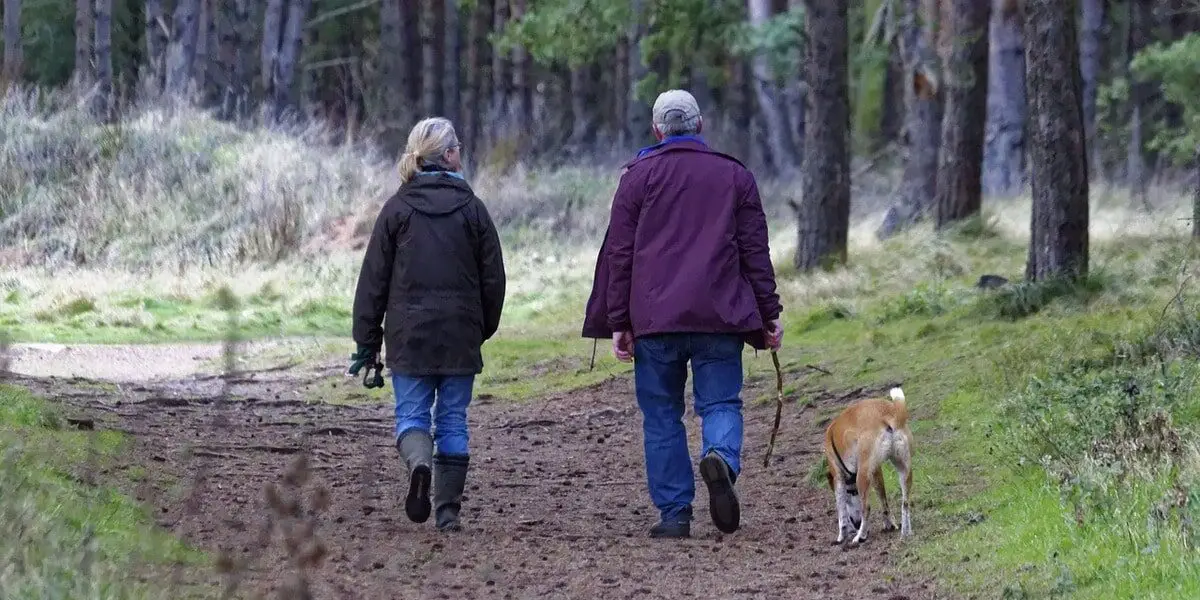 Een wandelend echtpaar die hun hond uitlaten in de bossen.