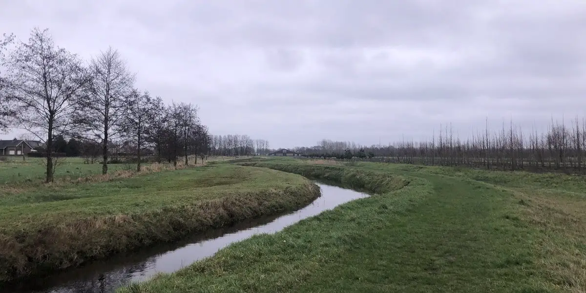 Een dijk tijdens de NS-wandeltocht Hart van het Groene Woud.